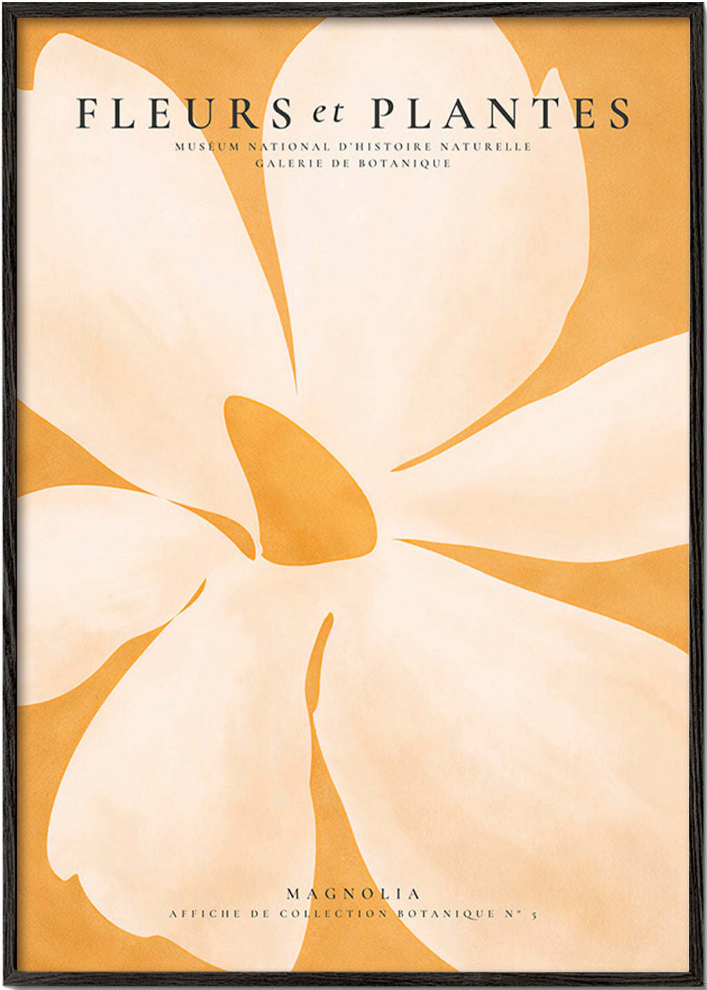 Botanisk poster Magnolia stort format