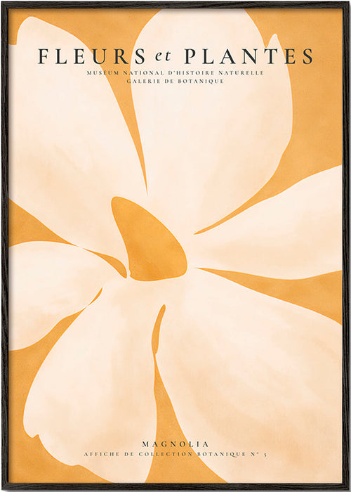 Botanisk poster Magnolia stort format