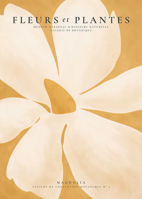 Botanisk poster Magnolia stort format