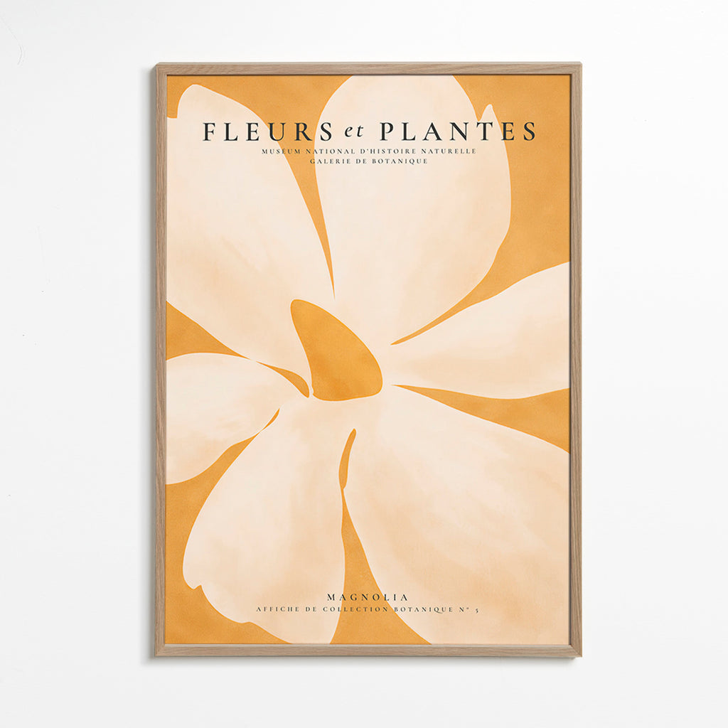 Botanisk poster Magnolia stort format