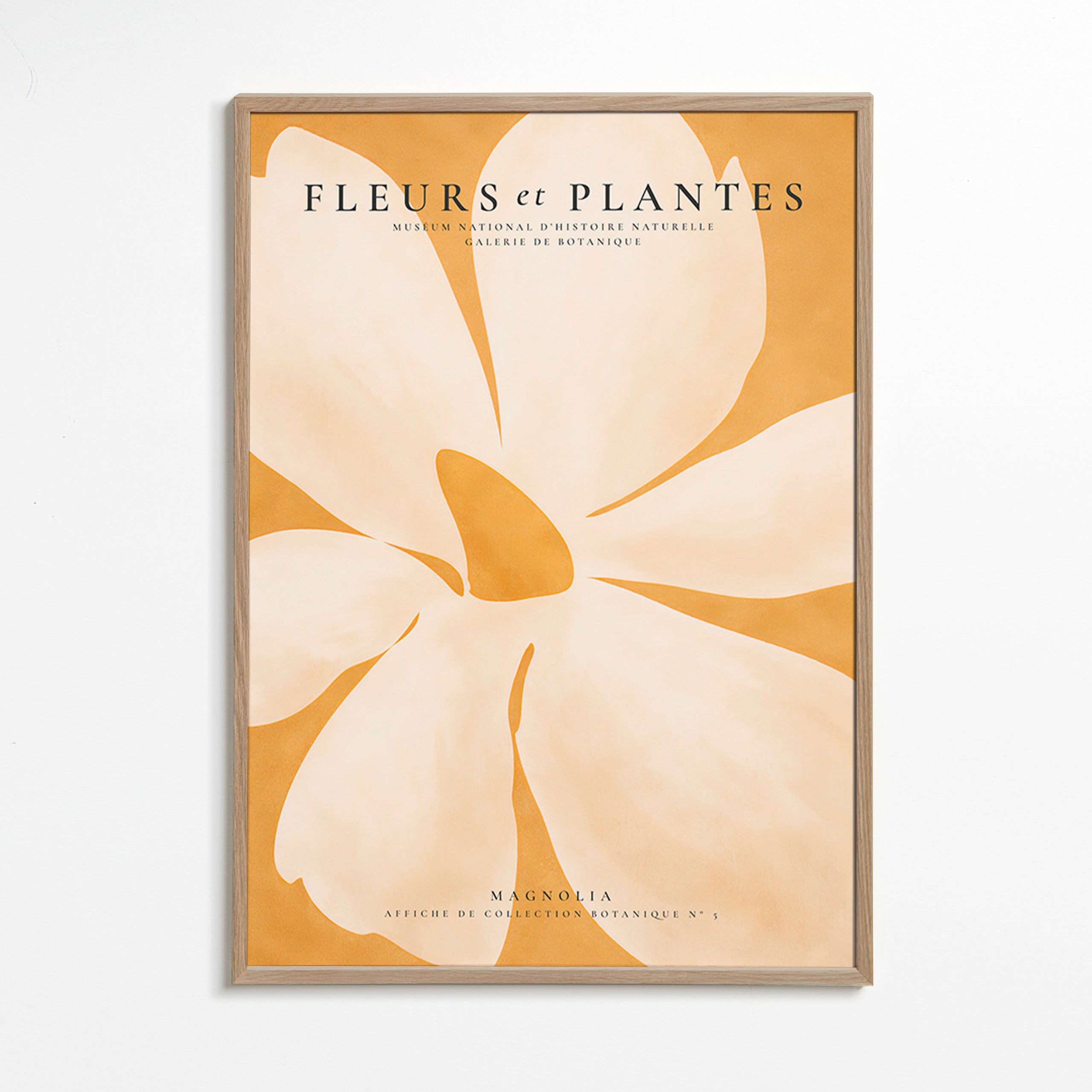 Botanisk poster Magnolia stort format