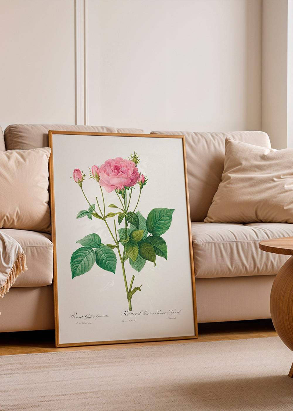Botanisk poster Rosa Gallica – Product1