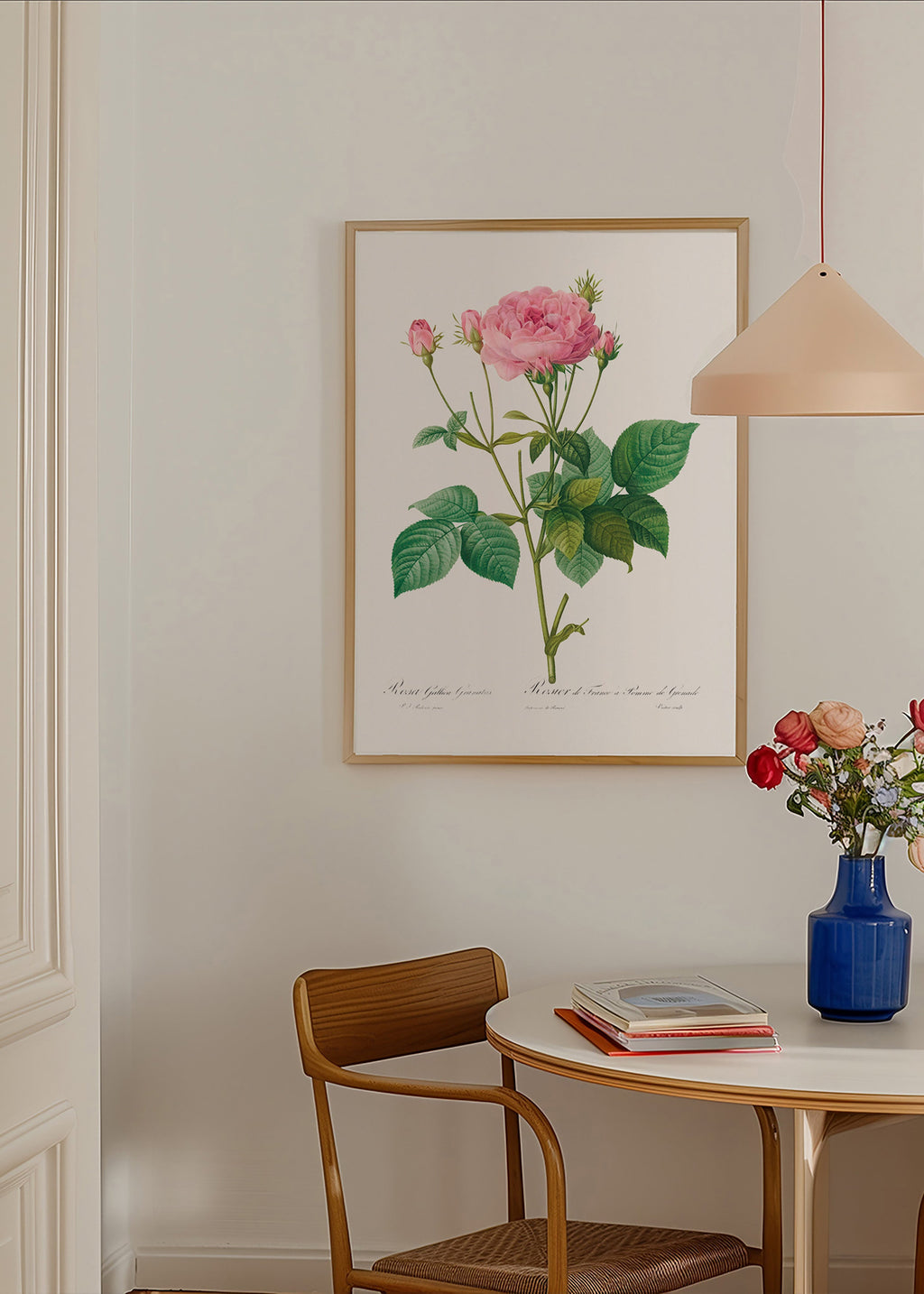 Botanisk poster Rosa Gallica – Product2