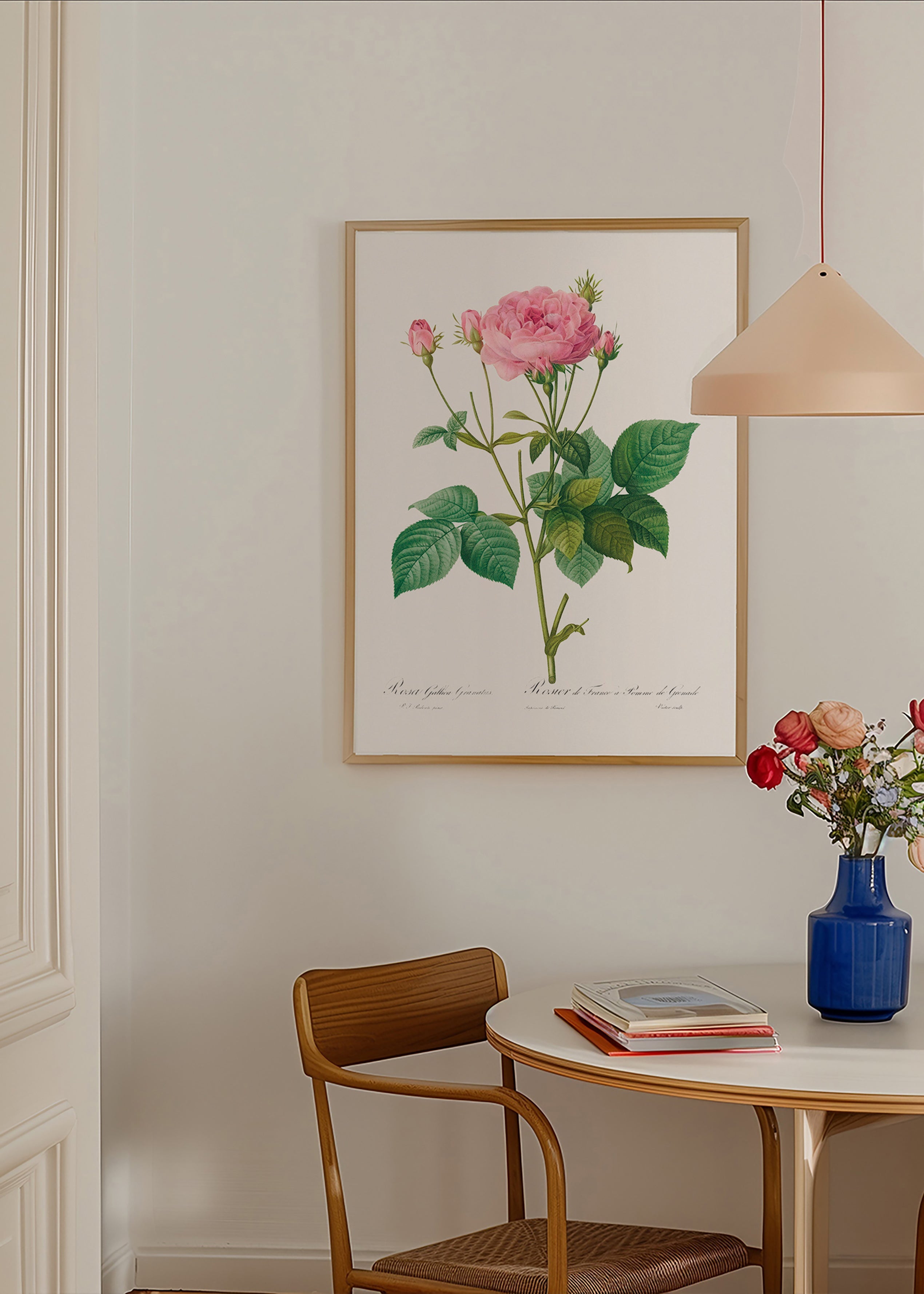Botanisk poster Rosa Gallica – Product2