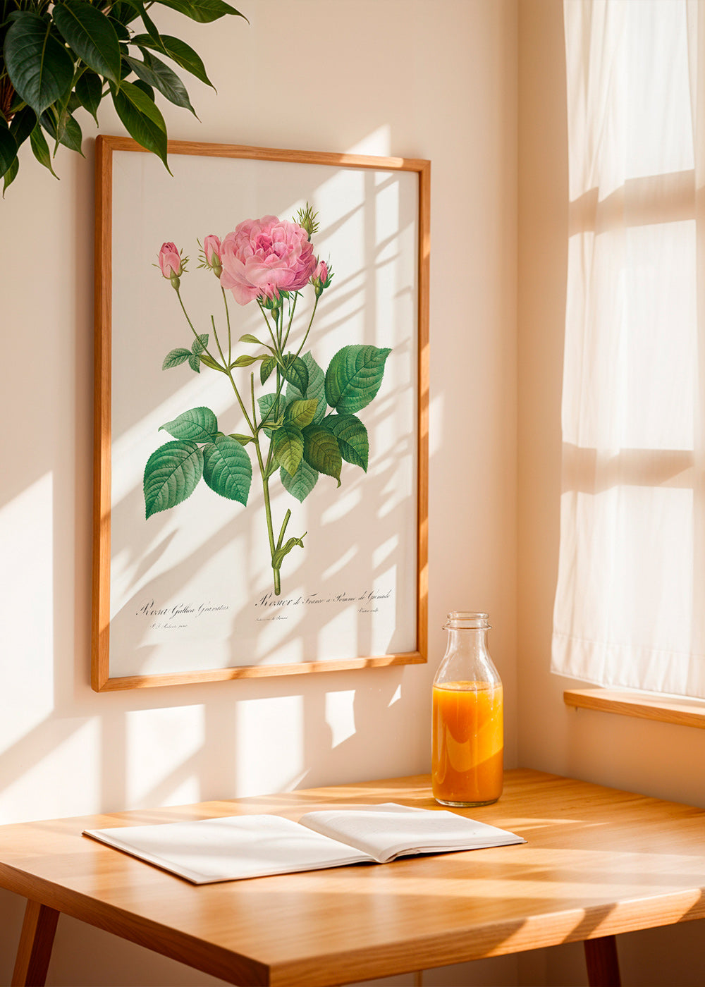 Botanisk poster Rosa Gallica – Product3