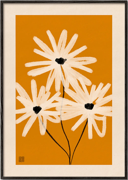 Botanisk poster: prästkragar på senapsbakgrund – Black Frame
