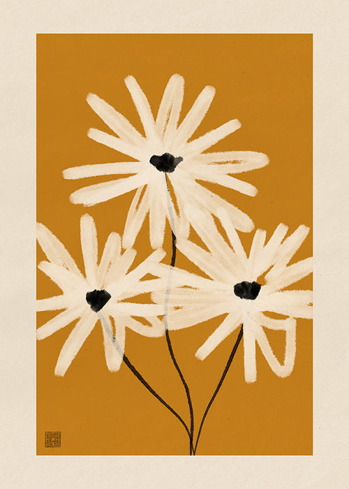 Botanisk poster: prästkragar på senapsbakgrund