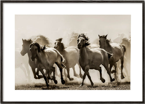 Springande hästar i sepia – Black Frame