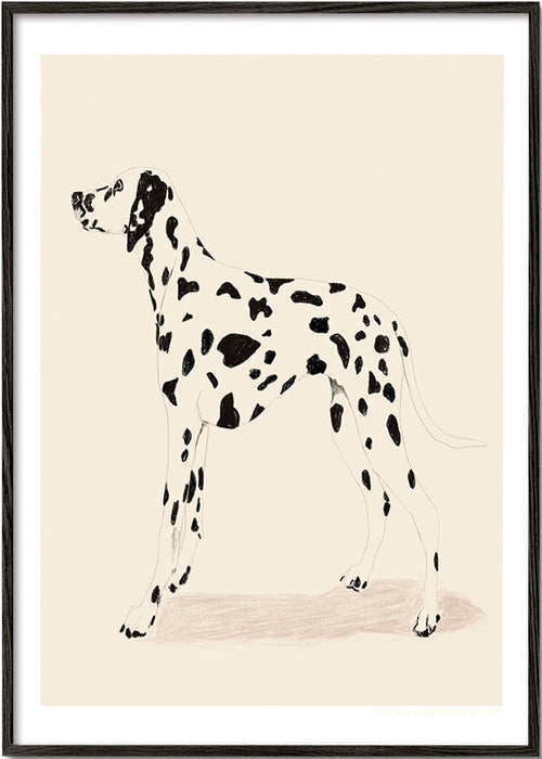 Dalmatiner konst i minimalistisk linje – Black Frame