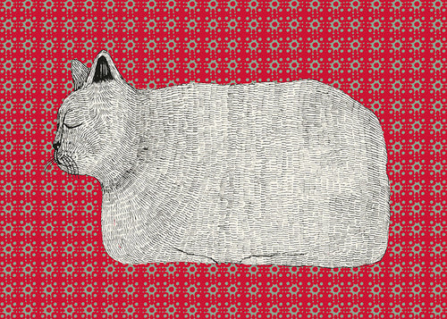 Kattprofil på rött mönster