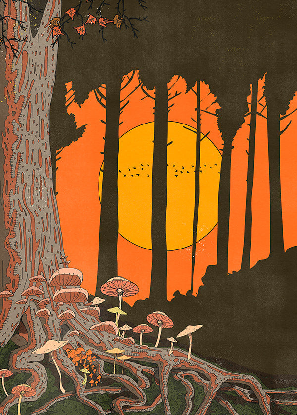 Illustration skog i solnedgång med svampar