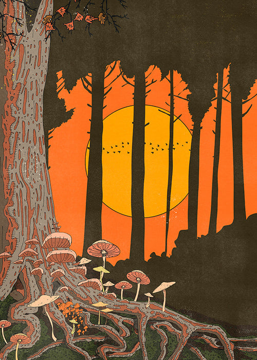 Illustration skog i solnedgång med svampar