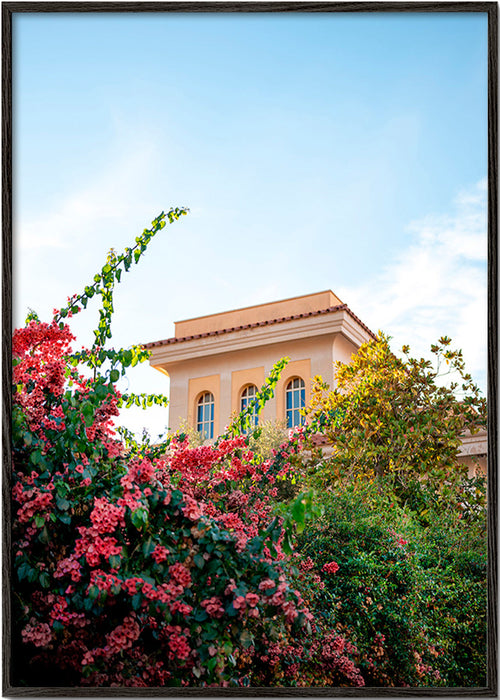 Botanisk poster med Amalfi-fasad och bougainvillea – Black Frame