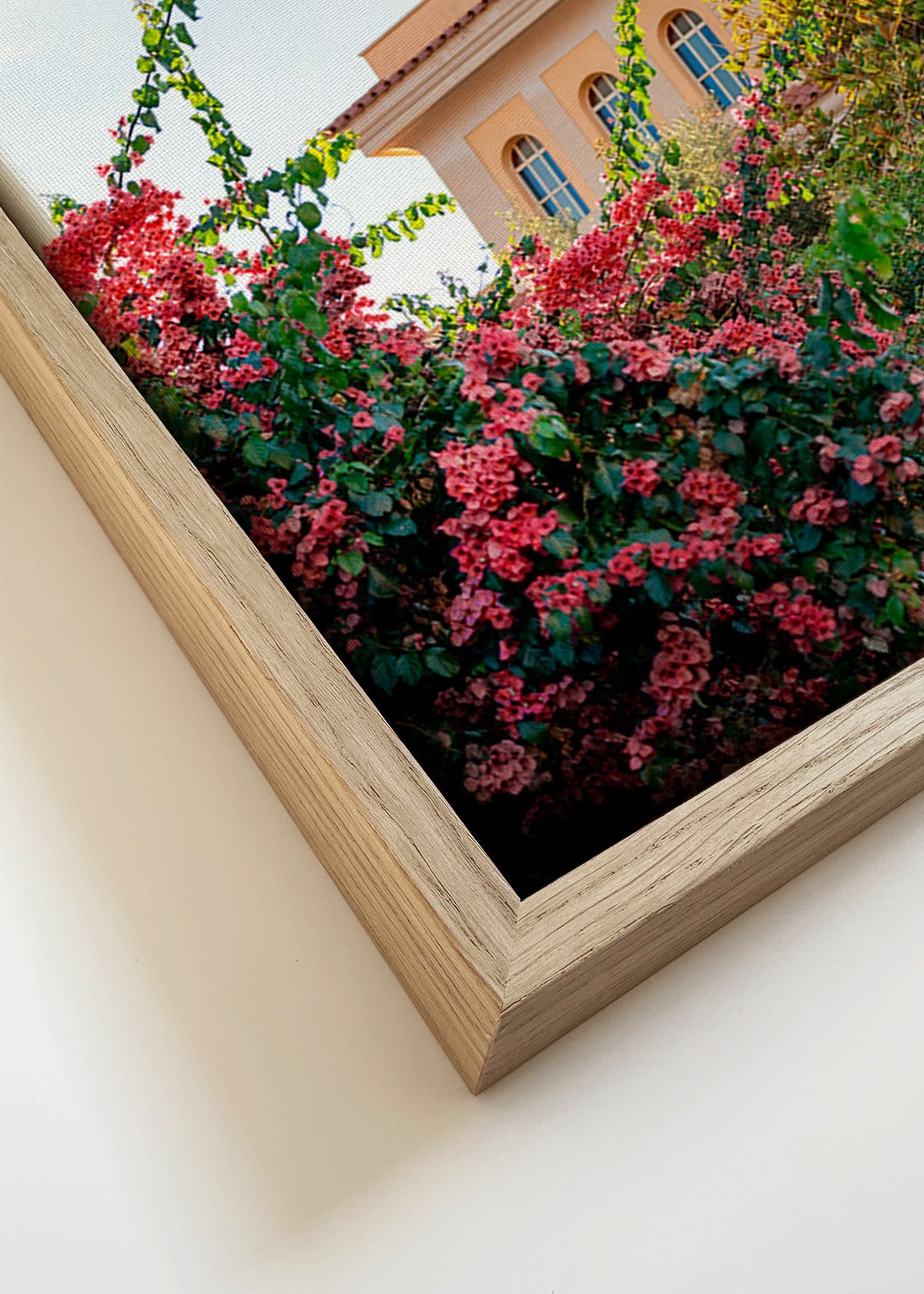 Botanisk poster med Amalfi-fasad och bougainvillea – Canvas detail