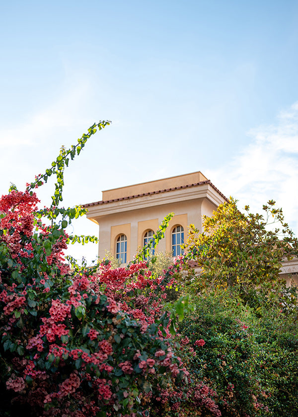 Botanisk poster med Amalfi-fasad och bougainvillea