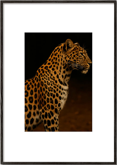Konstverk leopard profil – Black Frame