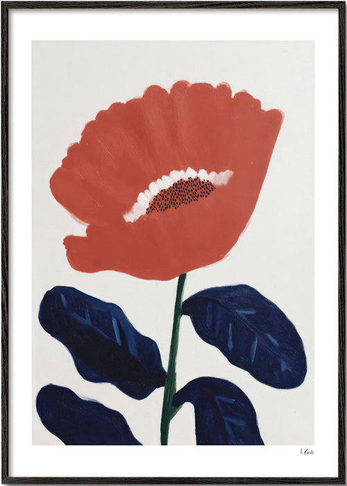 Botanisk poster korallblomma – Black Frame