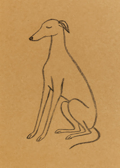 Galgo-silhuett linjeteckning