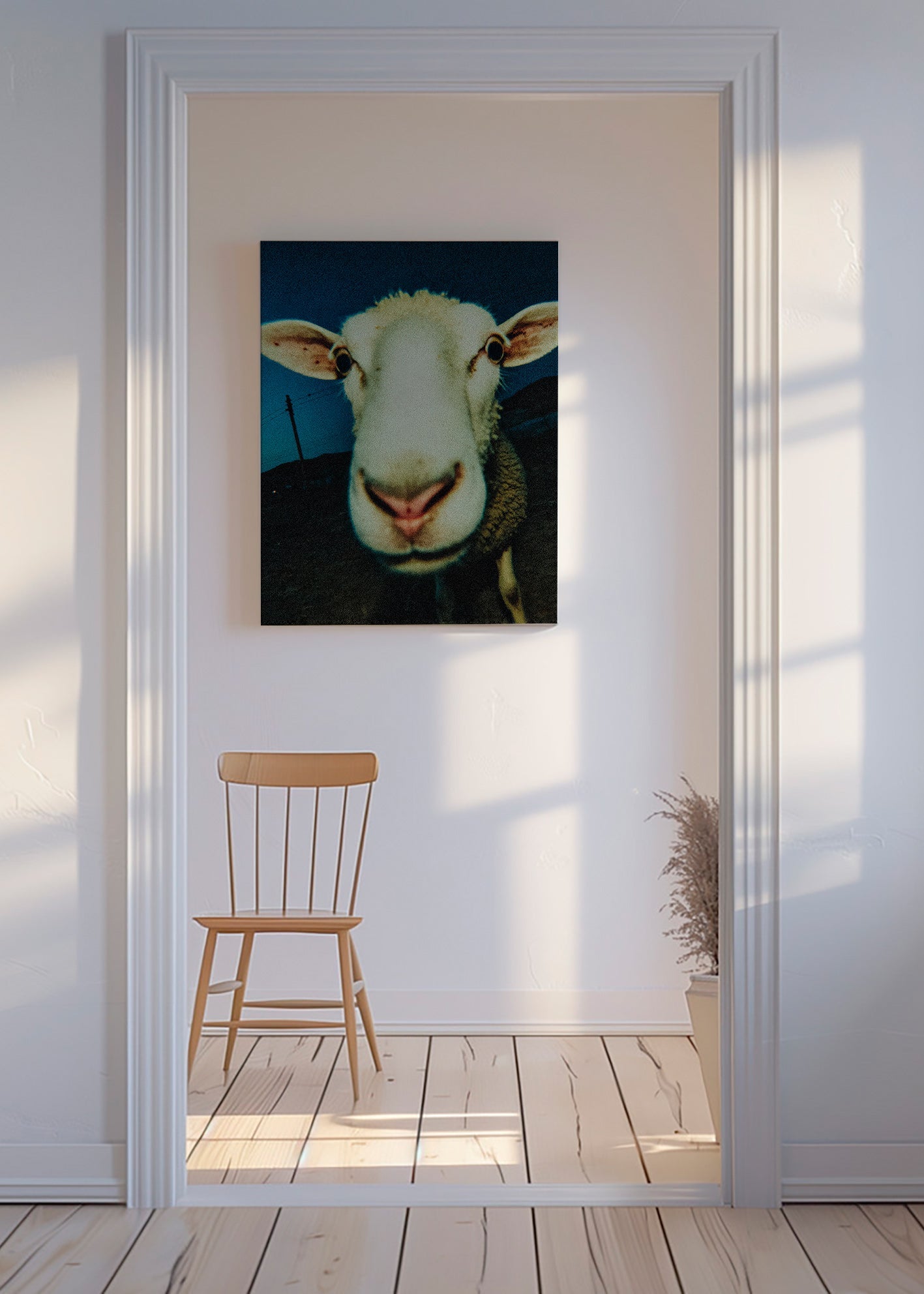 Fårporträtt på nära håll