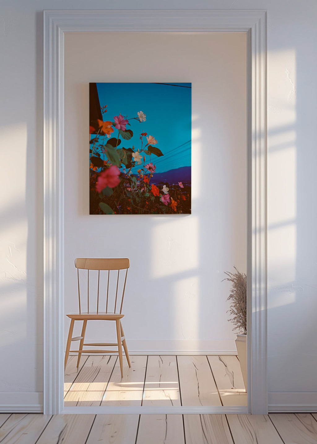 Botanisk poster: bougainvillea i skymning