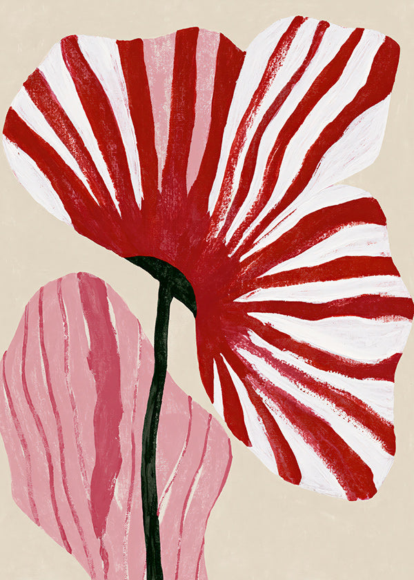 Botanisk poster med röda randiga kronblad