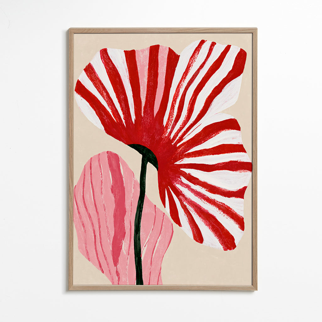 Botanisk poster med röda randiga kronblad