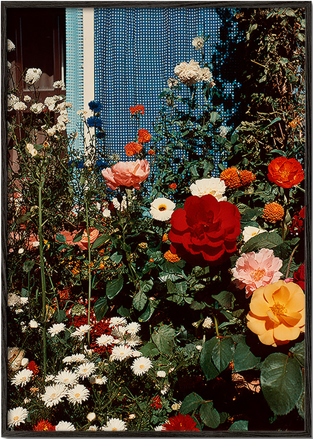 Botanisk poster: trädgård i blom