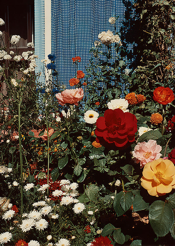 Botanisk poster: trädgård i blom