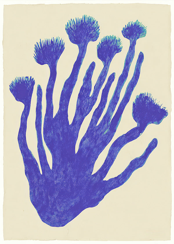 Botanisk poster Indigo Coral