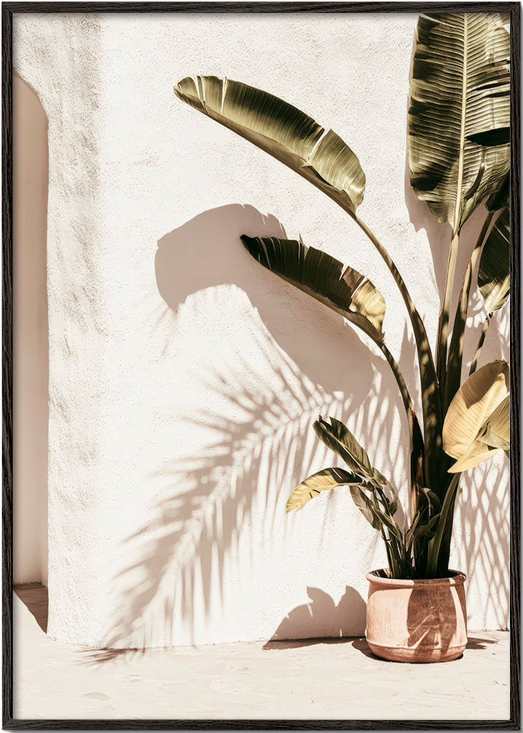 Botanisk poster: krukpalm