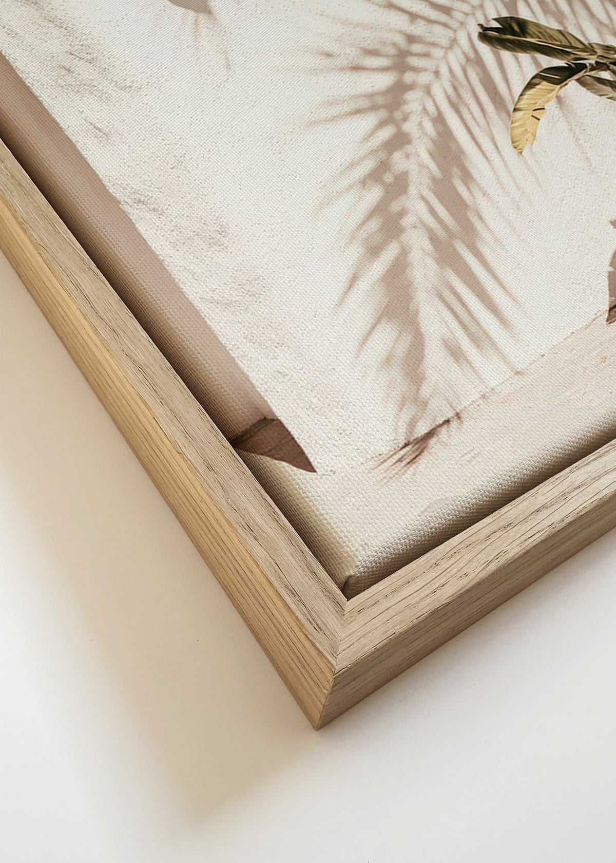 Botanisk poster: krukpalm