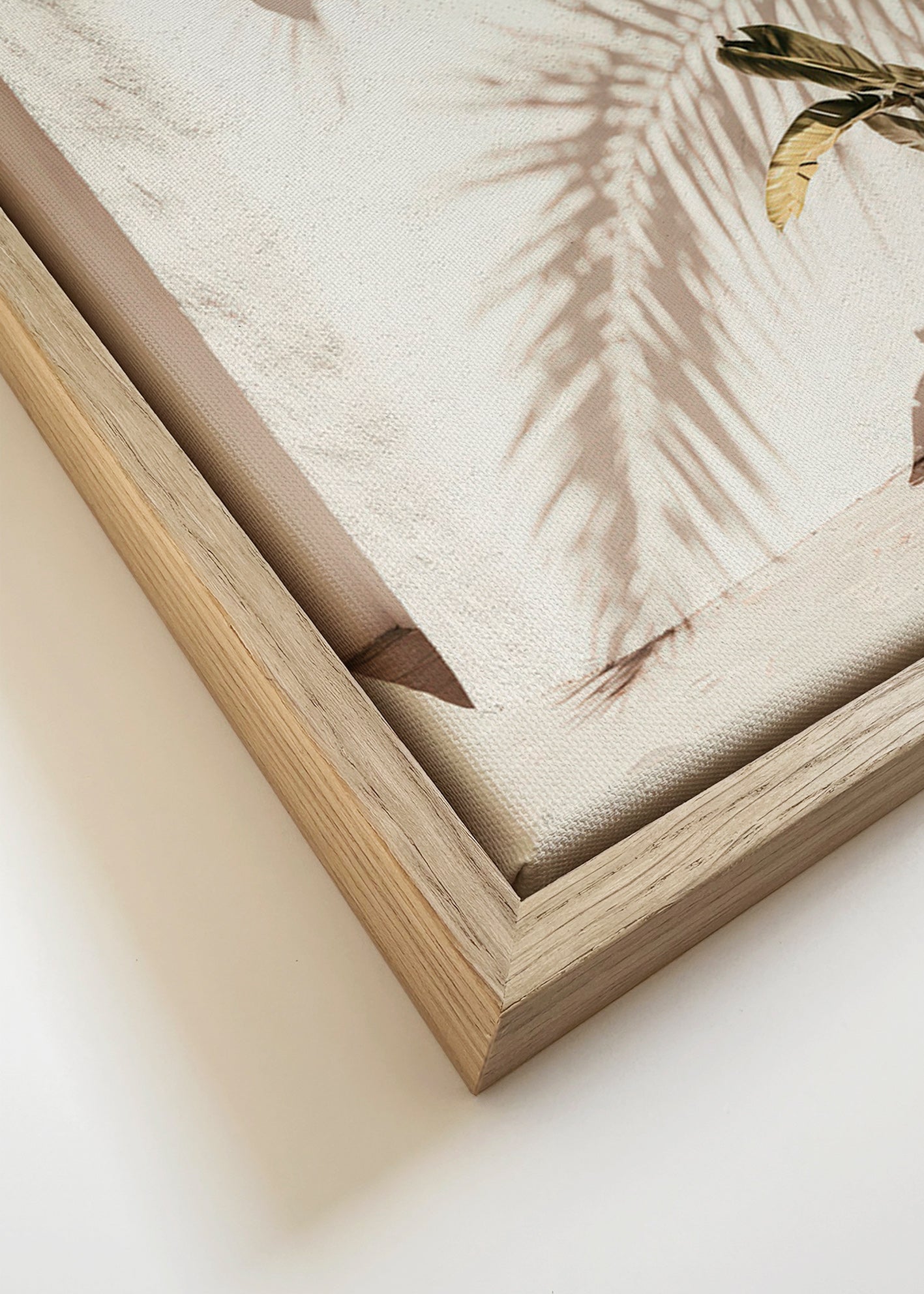 Botanisk poster: krukpalm