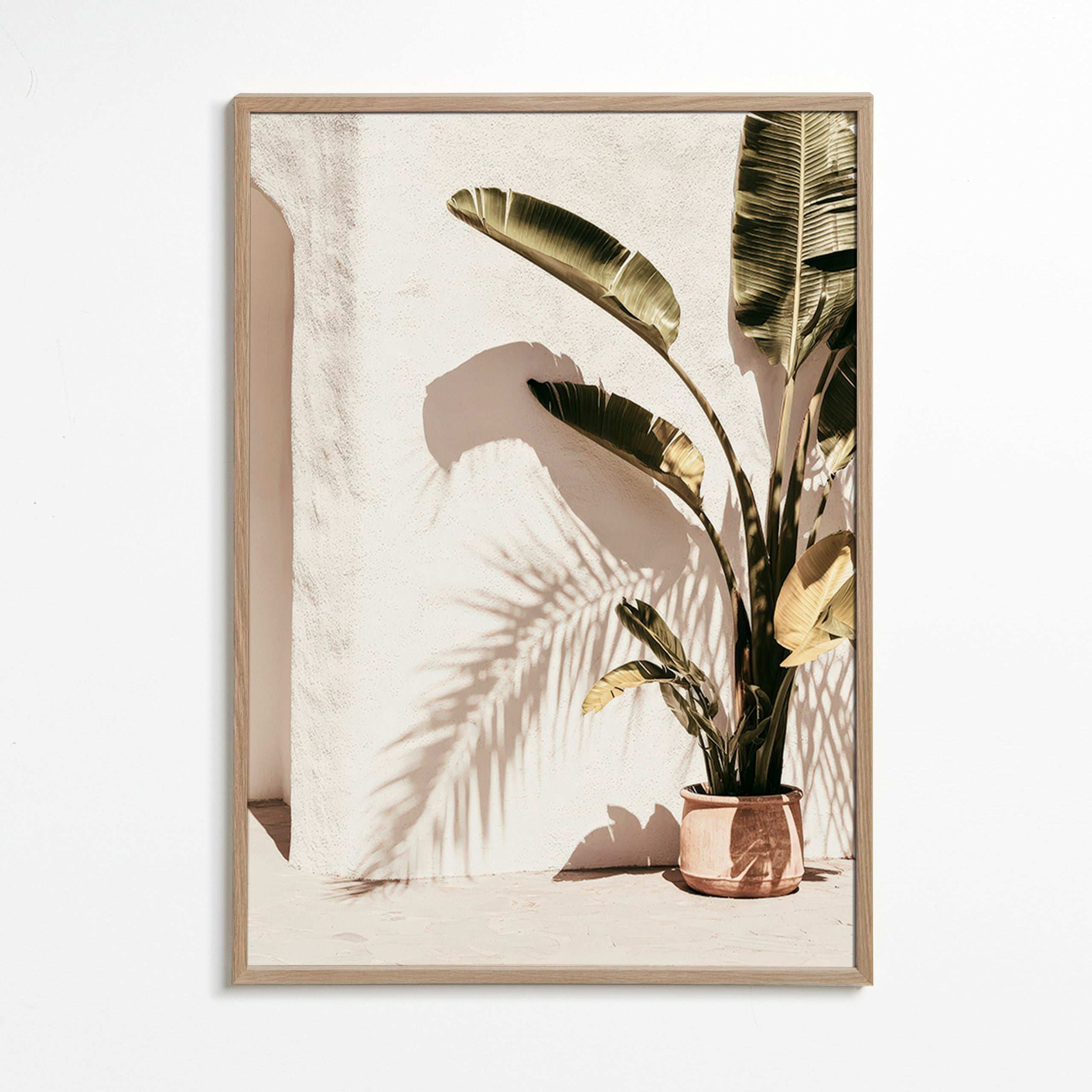 Botanisk poster: krukpalm