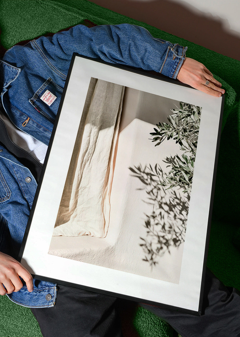 Botanisk tryck linne och olivkvist