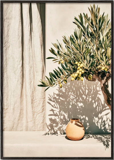 Mediterranean Light