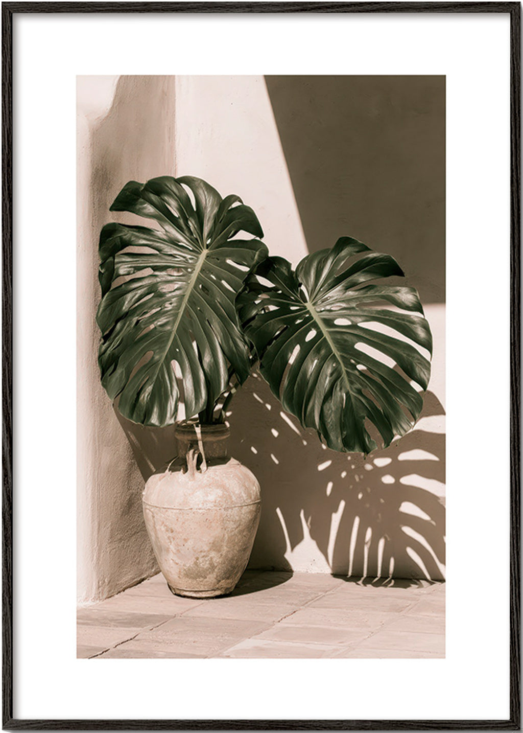 Botanisk poster Monstera i kruka