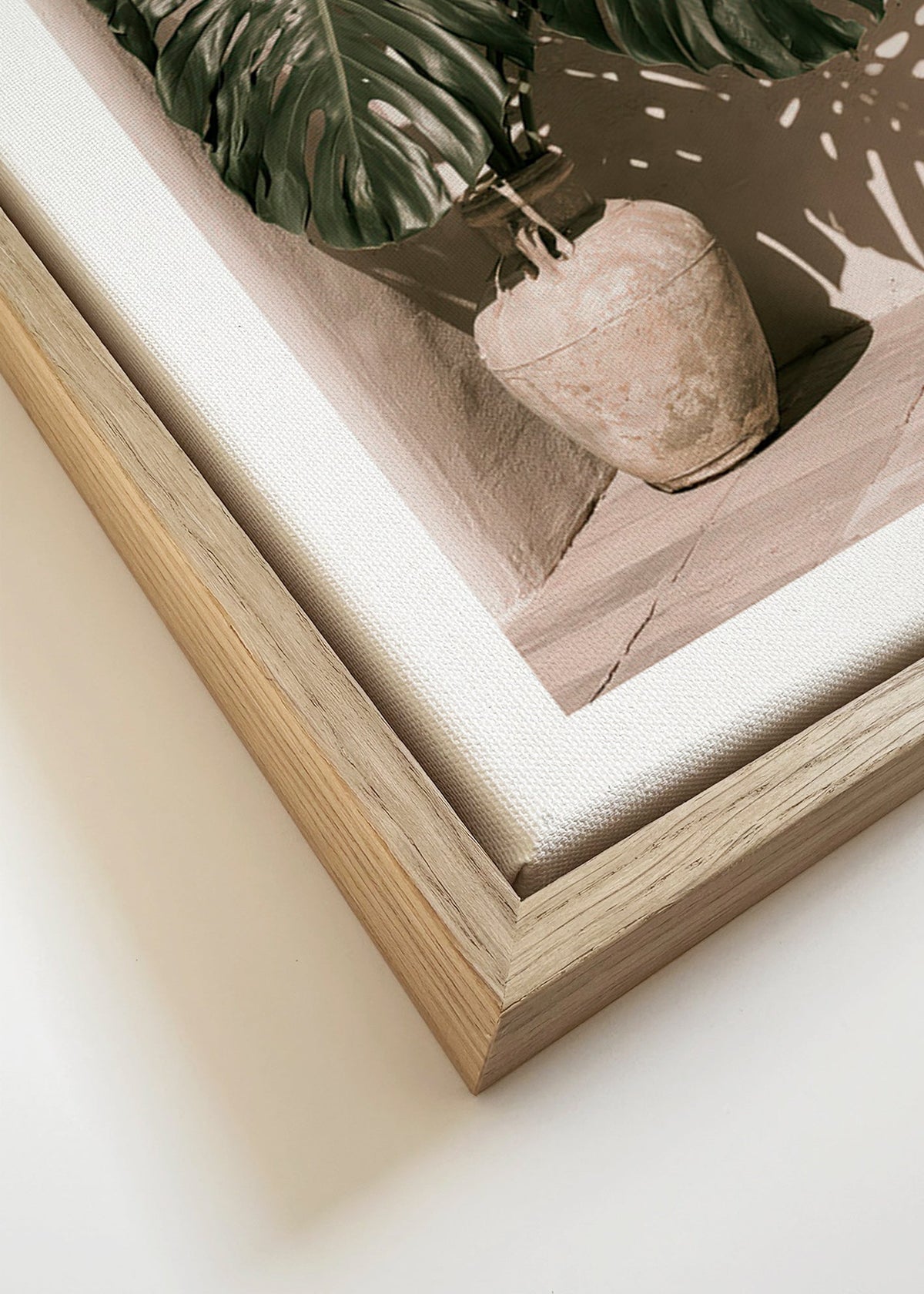Botanisk poster Monstera i kruka