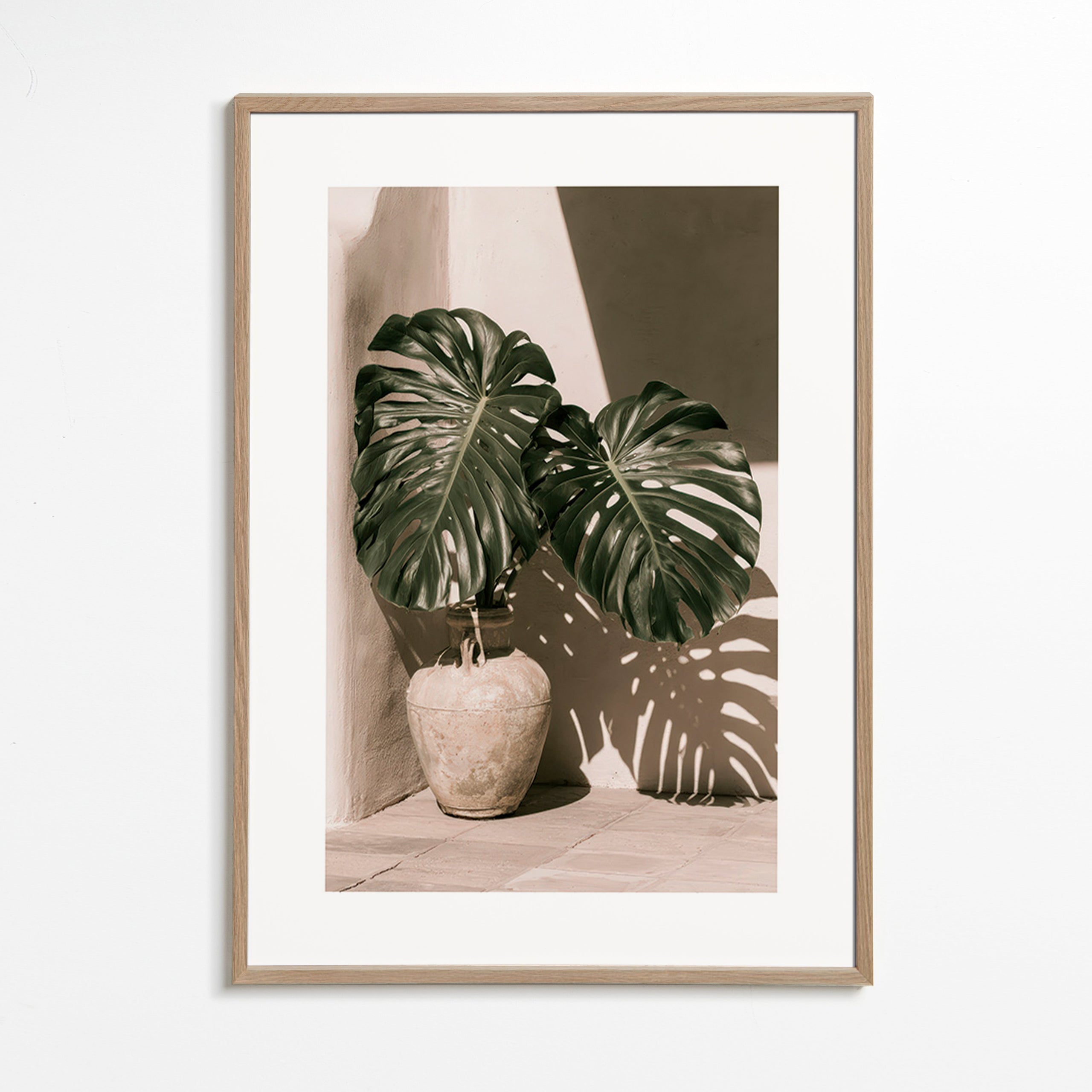 Botanisk poster Monstera i kruka
